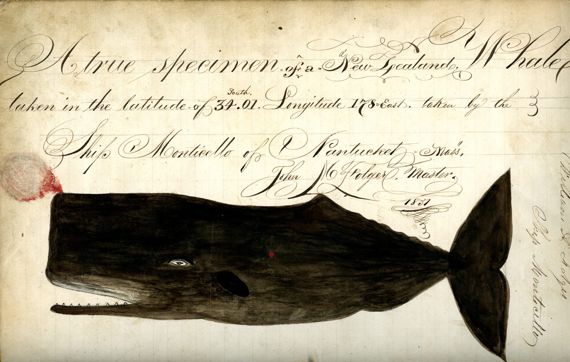 Help the Amelia Island Whale Ambassadors Celebrate the 200th Anniversary of Fernandina!